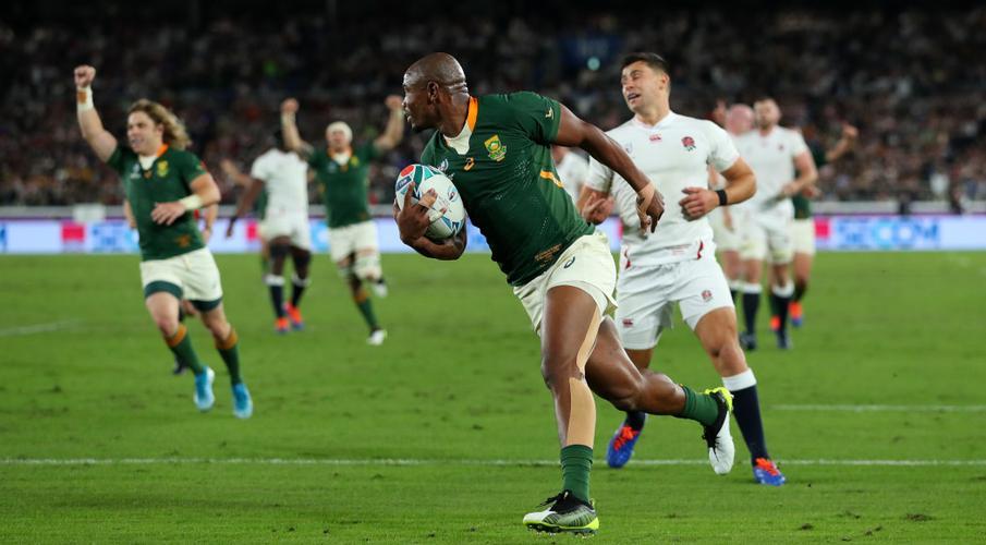 Springboks name powerful squad to take on the British Irish Lions
